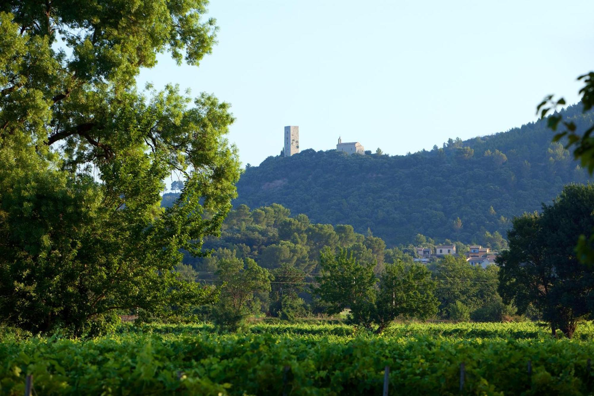 Chateau De Saint Martin Taradeau Exterior photo